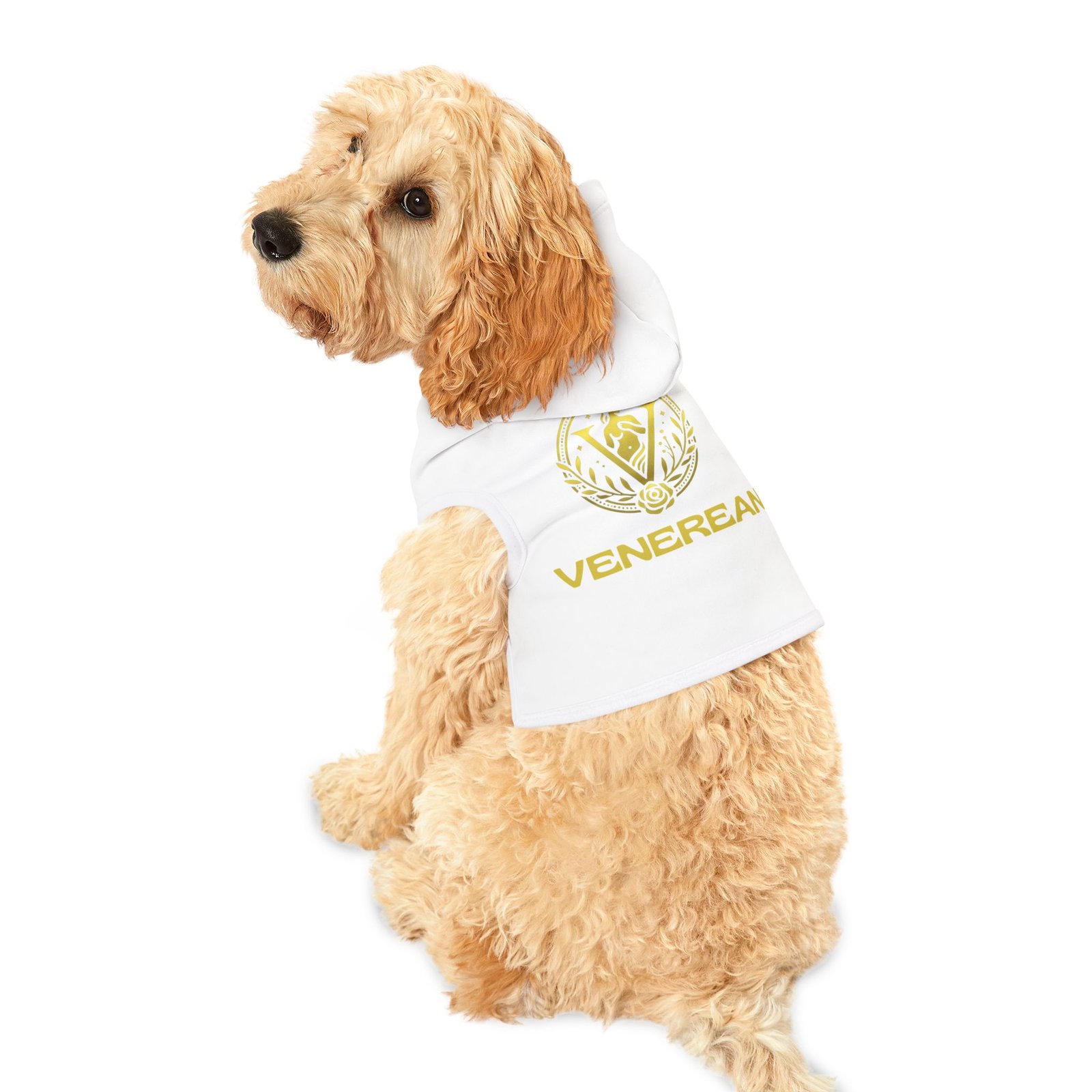 Venerean Chic Pet Hoodie