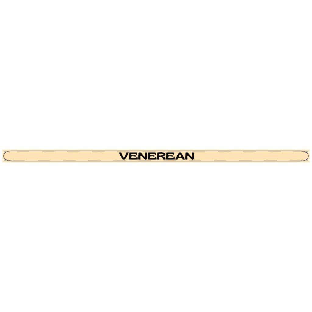 Venerean Signature Bangle Cuff alternate view